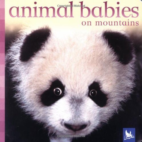 Animal Babies on Mountains