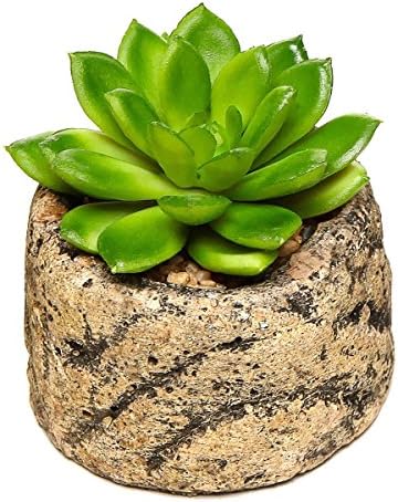Mastone Green Artificial Faux Mini Succulent Plants (lotus)