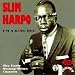 I'm a King Bee: The Early Swamp Blues Classics