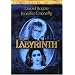 Labyrinth (Anniversary Edition)