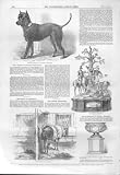 LIFE SIZE TERRIER DOG IN BREAT EXHIBITION 1851