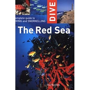 【クリックで詳細表示】Complete Guide to Diving and Snorkelling the Red Sea (Dive)： Guy Buckles： 洋書