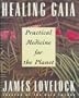 Healing Gaia: Practical Medicine for the Planet