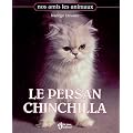 Le persan chinchilla