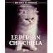 Le persan chinchilla