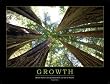 Growth, Taiichi Ohno, Standard Work