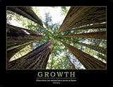 Growth, Taiichi Ohno, Standard Work