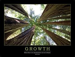 Growth, Taiichi Ohno, Standard Work