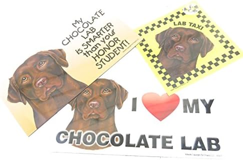 Chocolate Lab, Dog Gift Pack, Elegant Three Large Magnet, Gift For, Boac Labrador Lovers, Set of Three Magnet