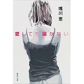 愛しても届かない (集英社文庫)