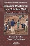 Managing development in a globalized world : concepts, processes, institutions