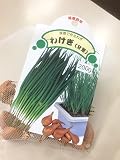 球根で作るねぎ わけぎ(分葱)種子 200g