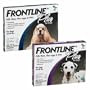 3 MONTH Frontline PLUS Orange for Dogs 0-22 lbs