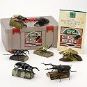 立体図鑑リアルフィギュアボックス スタッグビートル (クワガタムシ)