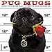 2016 Pug Mugs Wall Calendar