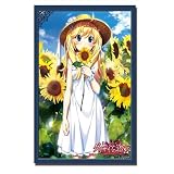 ブシロードスリーブコレクションHG (ハイグレード) Vol.226  グリザイアの迷宮 『松嶋 みちる』 226 [VHS]