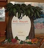 KC �n���C �t�H�g�t���[���@�p�[���c���[���t�����[