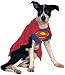 Search : Superman Pet Costume - Pet Costumes - Medium