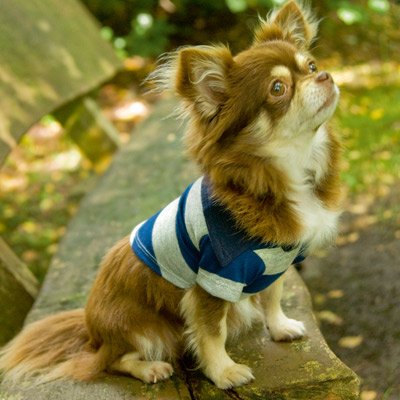 Wohlfühl Shirt, blau, 30cm Hundepullover