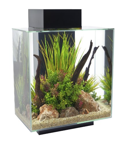 Fluval Edge 12-Gallon Aquarium with 42-LED Light, Black