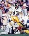 Mel Blount Pittsburgh Steelers 8x10 Photo
