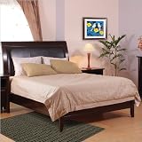 King Modus City II Leatherette Upholstered Low Profile Sleigh Bed in Coco Finish