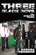 Three Black Boys: The Authorized Version