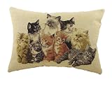 Evans Lichfield Cats Traditional Tapestry (Filled) Cushion, 18 x 13 inch