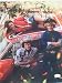 Search : Dukes Of Hazzard Cast 8x10 Autographed Signed Photo / Bach Schneider Wopat