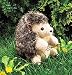 Hedgehog Puppet