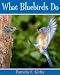 Search : What Bluebirds Do