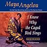 I Know Why the Caged Bird Sings