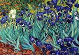 Irises, Saint-Remy, c.1889 Art Stretched Canvas Poster Print by Vincent van Gogh, 40x28