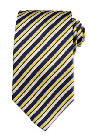 Michigan Wolverines Thin Stripe Tie