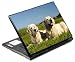 golden_retriever11golden retriever - Golden Retriever Decorative Protector Skin Decal Sticker for