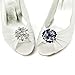 ELEGANTPARK AM Women Rhinestones Decoration Wedding Party Shoe Clips 2 Pcs Silver
