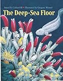 The Deep-Sea Floor