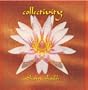 Collectivity