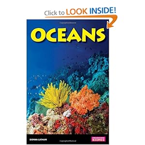 download witch of portobello