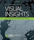 Visual insights : a practical guide to making sense of data