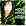 Sumi Jo - A Tribute to Johann Strauss ~ Echoes from Vienna