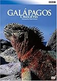 BBC ガラパゴス I.炎からの誕生 [DVD]