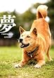 夢 -YUMENOSUKE-