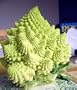 Broccoli Romanesco 50 Seeds per Packet - Rare & Unique