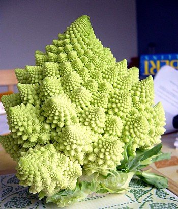 Romanesco Broccoli 50 Seeds-Heirloom-Best Taste/Texture