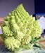 Romanesco Broccoli 50 Seeds-Heirloom-Best Taste/Texture