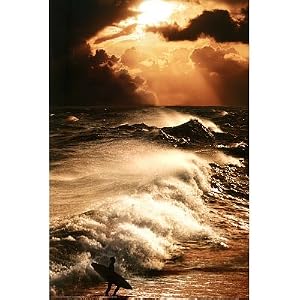 surfing posters