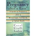 Pregnancy After a Loss (A Guide to Pregnancy After a Miscarriage, Stillbirth or Infant Death) (Paperback)