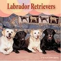 Labrador Retievers 2008 Wall Calendar