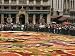 Flower Carpet, Brussels, Belgium Travel Photographic Poster Print by Neil Emmerson, 40x30